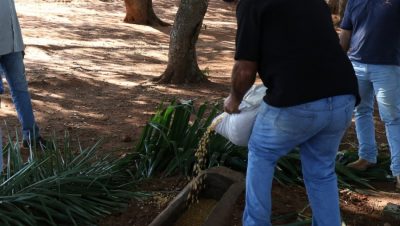 70217-cocho-para-capivaras-23-07-2018-7