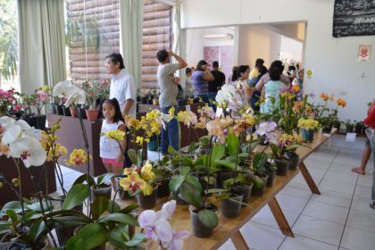 70294-arquivo-exposicao-de-orquideas-2