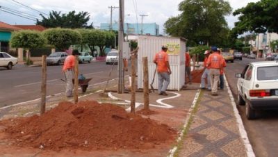 707-avenida-antonio-trajano-recebe-plantio-de-palmeiras
