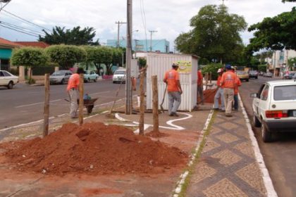 707-avenida-antonio-trajano-recebe-plantio-de-palmeiras