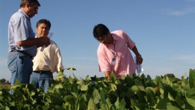 722-campo-experimental-indica-bons-resultados-com-soja-e-mandioca