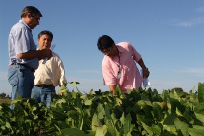 722-campo-experimental-indica-bons-resultados-com-soja-e-mandioca