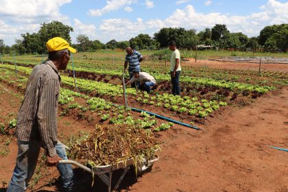 Agricultura Familiar – 28-01-2019 (26)
