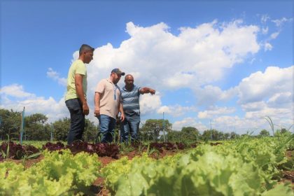 Agricultura Familiar – 28-01-2019 (34)