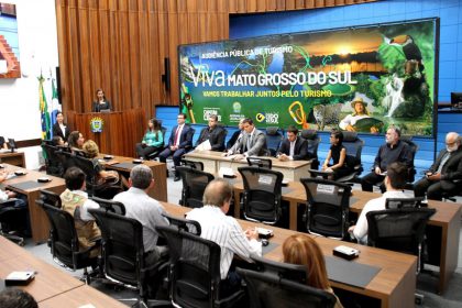 Audiencia Publica