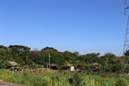 Cinturao Verde (6)