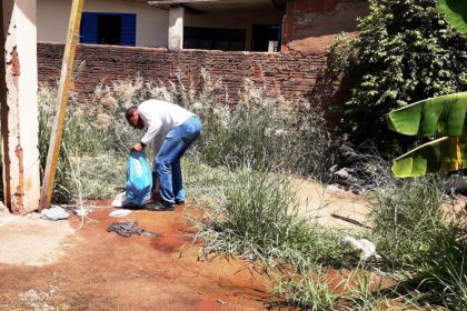 Combate ao Aedes22222