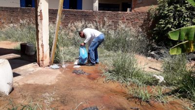 Combate ao Aedes22222