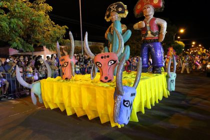 Desfile Escolas de Samba 2019 (3)
