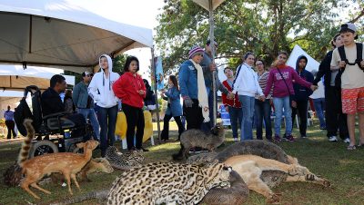 Dia Mundial do MEIO AMBIENTE (191)