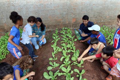 Horta Escola Julio Colino (160)