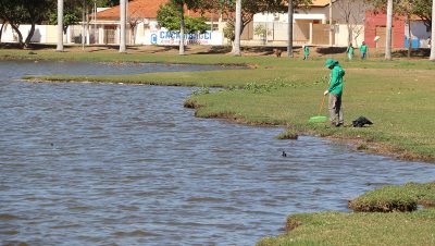 Morte de Peixes Lagoa Maior 01-08-2019 (15)
