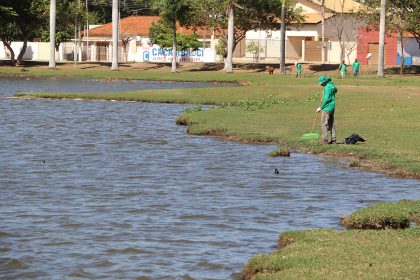 Morte de Peixes Lagoa Maior 01-08-2019 (15)