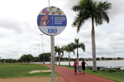 Placas (3)