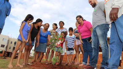 Plantacao de Arvore C.Orestinho (20)