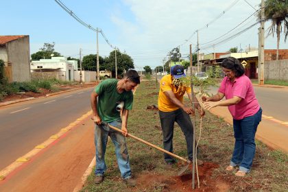 R.Milto Dasmaceno Plantacao de Mudas (90)