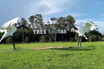 TUIUIU ENTRADA SP