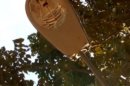 vandalismo