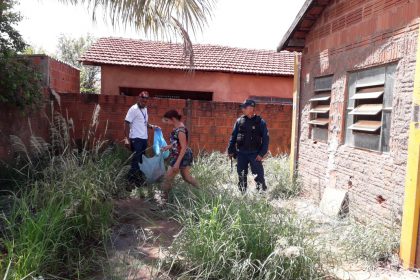 combate ao Aedes 111