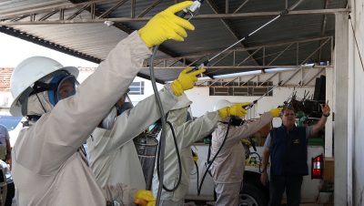 controle Q De Leishmaniose (17)