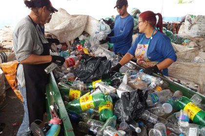 cooperativa arara azul