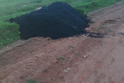 foto da internet